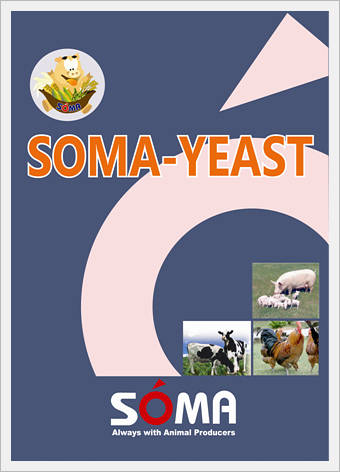 SOMA-YEAST (High Concentrated Feeds)  Made in Korea